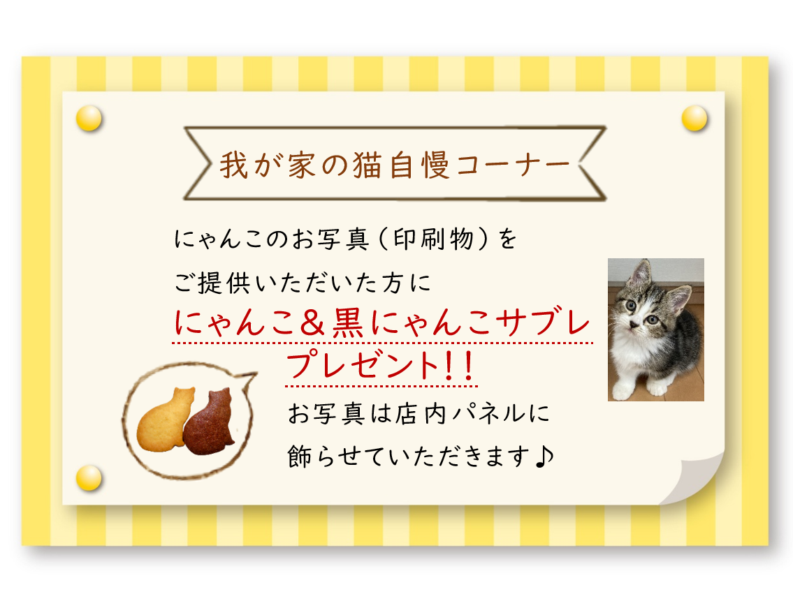 プレゼント企画！我が家のねこのお写真（印刷物）をご提供いただいた方に、にゃんこ＆黒にゃんこサブレをプレゼント！