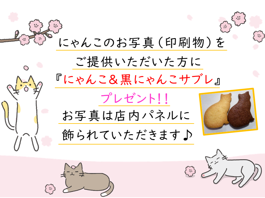 プレゼント企画！我が家のねこのお写真（印刷物）をご提供いただいた方に、にゃんこ＆黒にゃんこサブレをプレゼント！