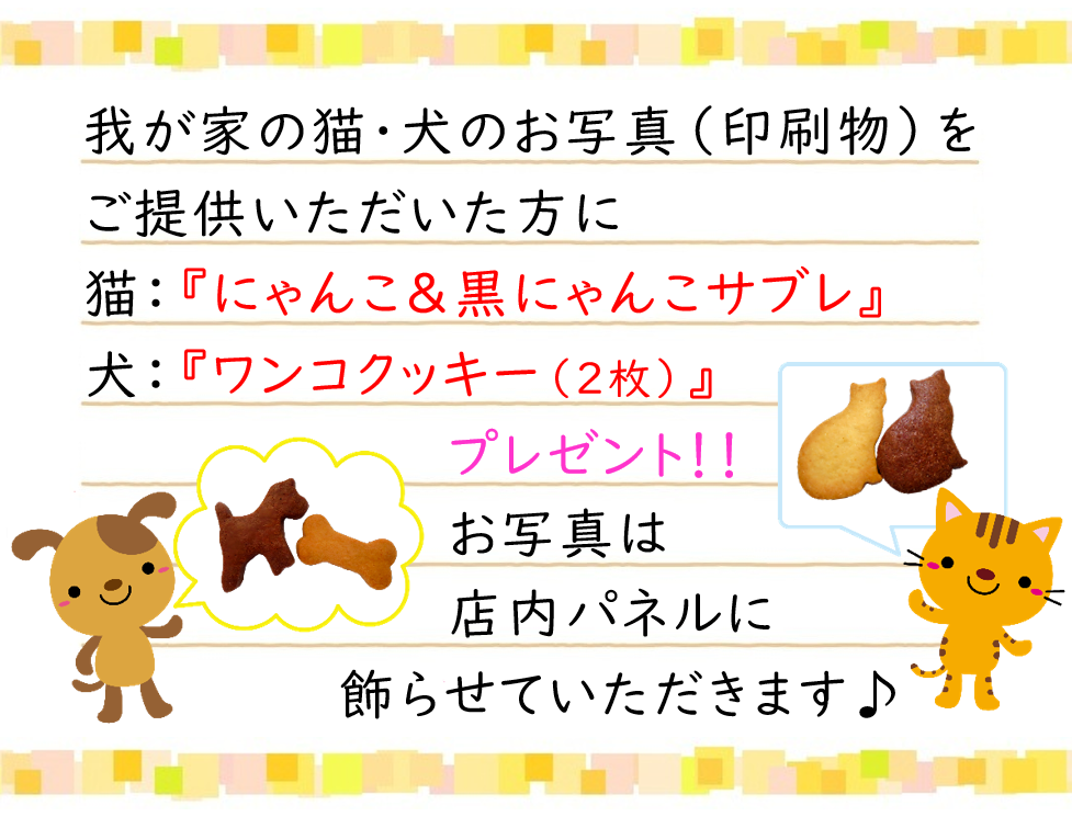 プレゼント企画！我が家のねこのお写真（印刷物）をご提供いただいた方に、にゃんこ＆黒にゃんこサブレをプレゼント！