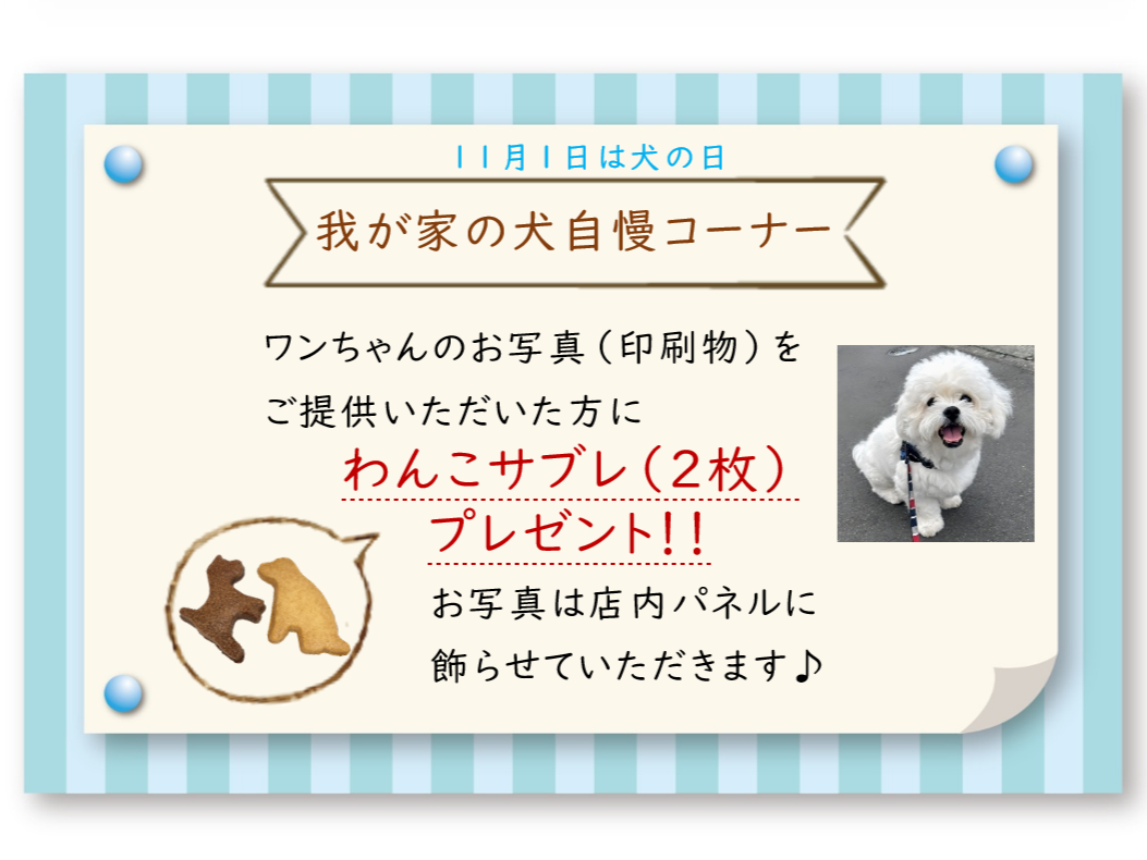 プレゼント企画！我が家のねこのお写真（印刷物）をご提供いただいた方に、にゃんこ＆黒にゃんこサブレをプレゼント！
