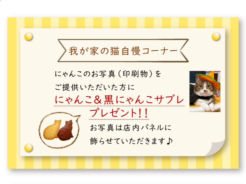 プレゼント企画！我が家のねこのお写真（印刷物）をご提供いただいた方に、にゃんこ＆黒にゃんこサブレをプレゼント！