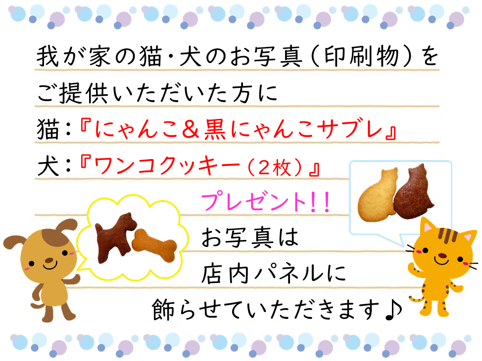 プレゼント企画！我が家のねこのお写真（印刷物）をご提供いただいた方に、にゃんこ＆黒にゃんこサブレをプレゼント！