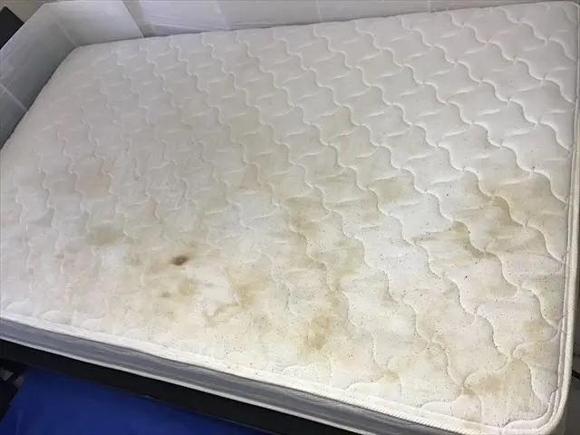 嘔吐やオネショで汚れた横浜のマットレスクリーニング