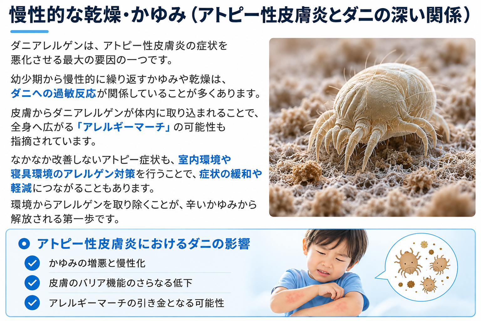 慢性的な乾燥・かゆみ（アトピー性皮膚炎とダニの深い関係）
