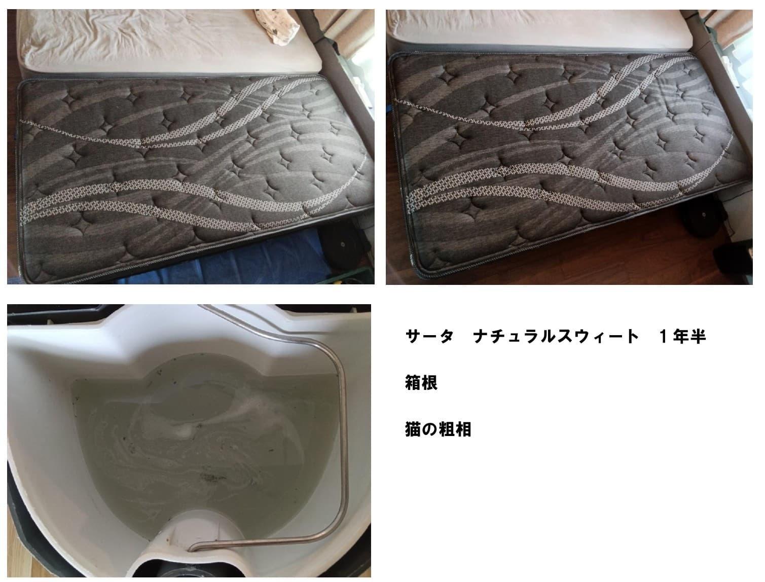 サータ ナチュラルスウィートの猫のおしっこクリーニング施工事例