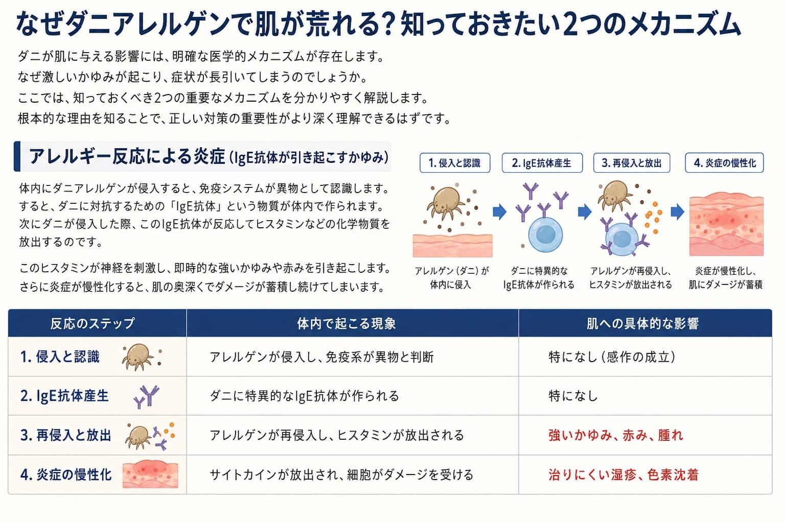 肌荒れのメカニズム