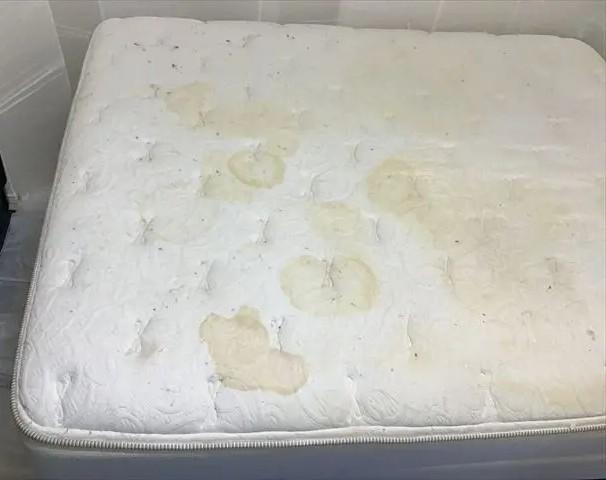 マットレスクリーニング　汚れの種類