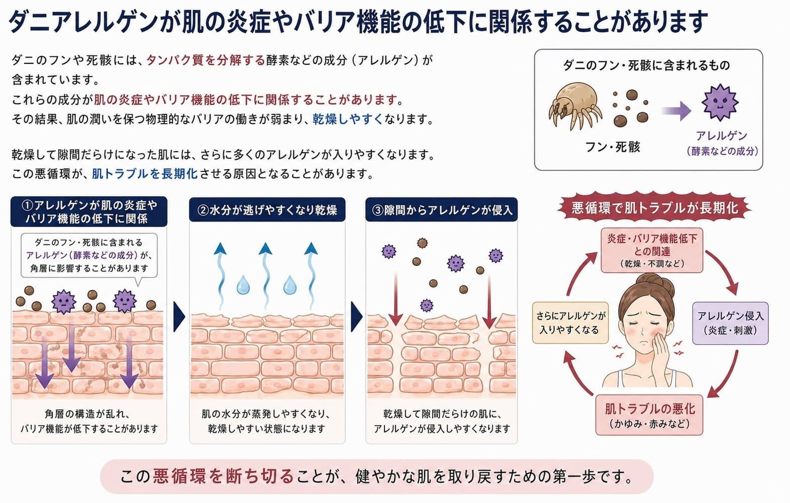 ダニアレルゲンが肌の炎症やバリア機能の低下に関係することがあります