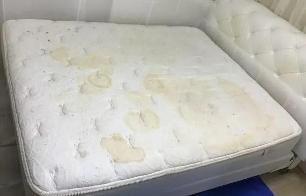 汗ジミやオネショで汚れたマットレスにはダニやダニのフンや死がいが蓄積します。