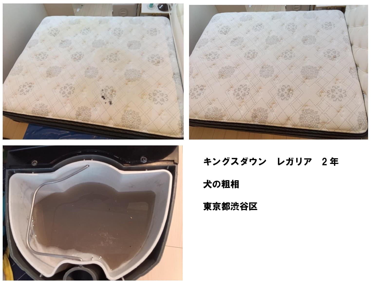 キングスダウン レガリアの犬のおしっこクリーニング施工事例