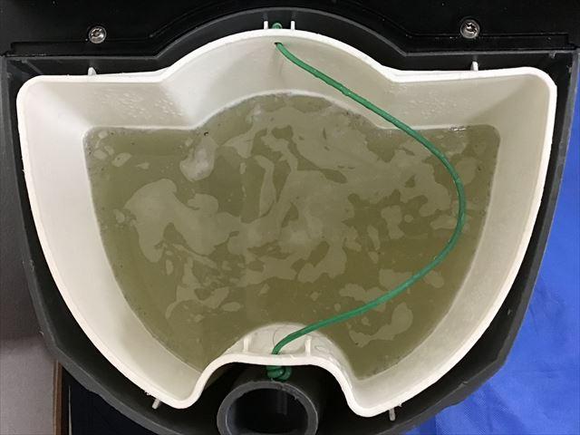 カビが発生したマットレスの洗浄で回収した汚水
