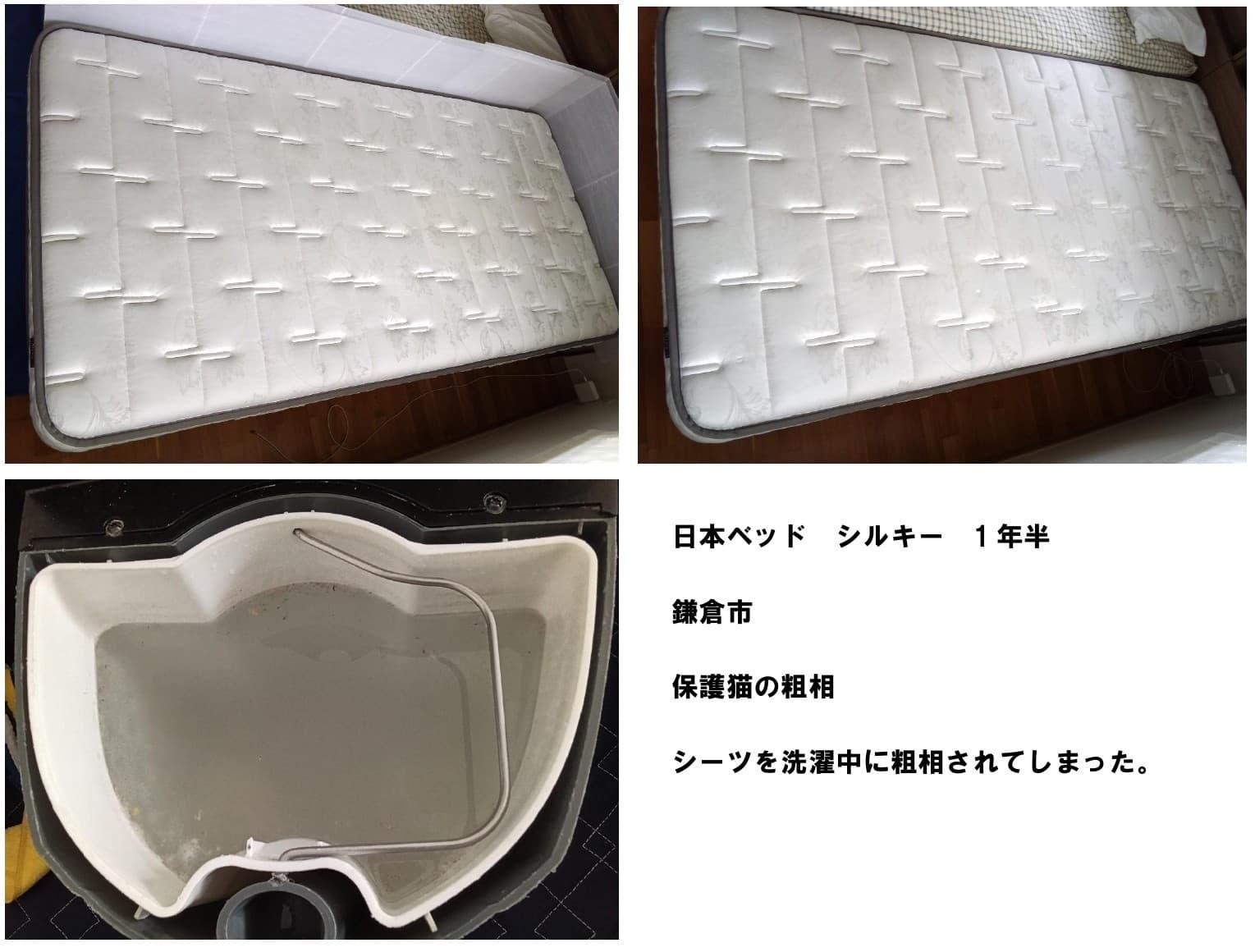 日本ベッド シルキーポケットの猫のおしっこクリーニング施工事例