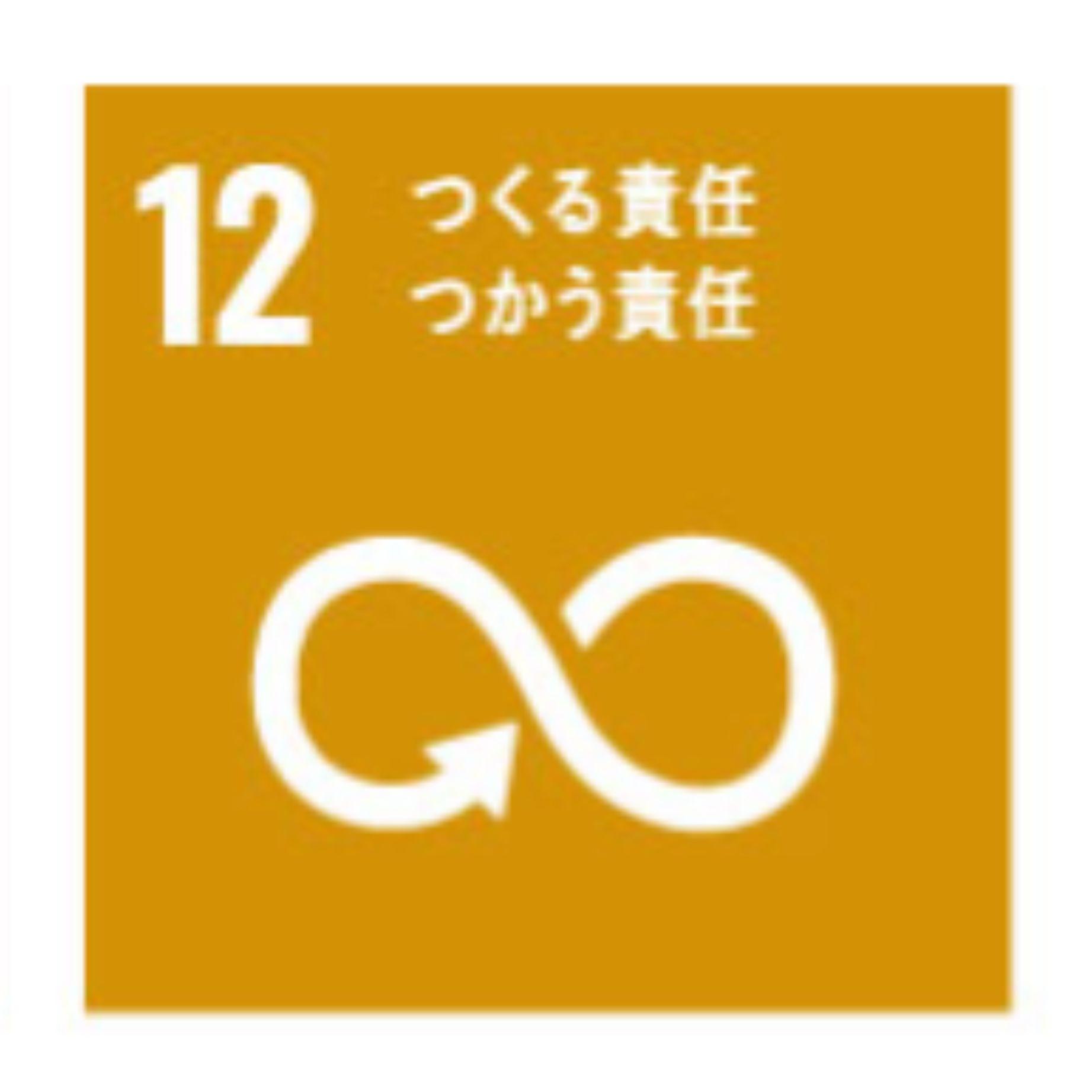 Goal 12 Responsible Consumption and Production