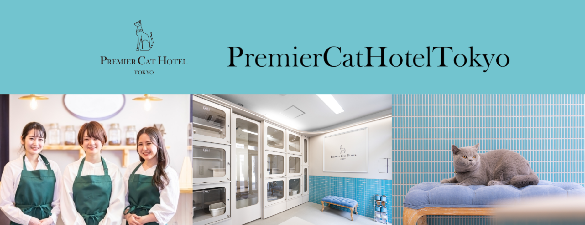 プレミアキャットホテル飯田橋