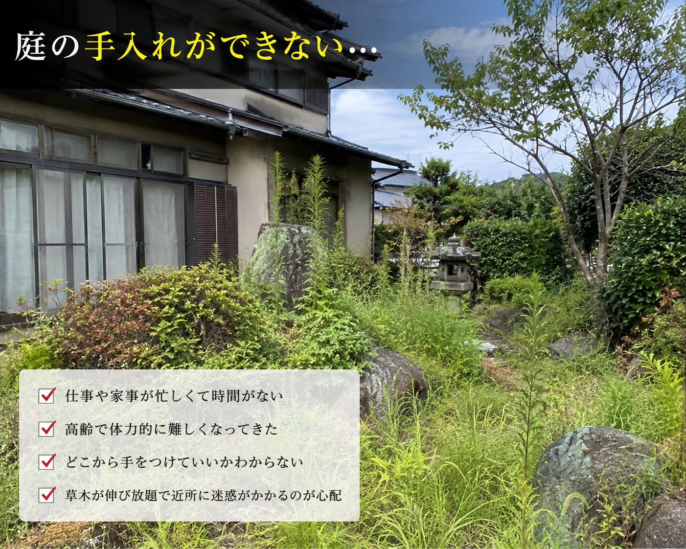 庭の手入れができない方へ庭木剪定・伐採・雑草対策で管理しやすい庭へ整える幸樹