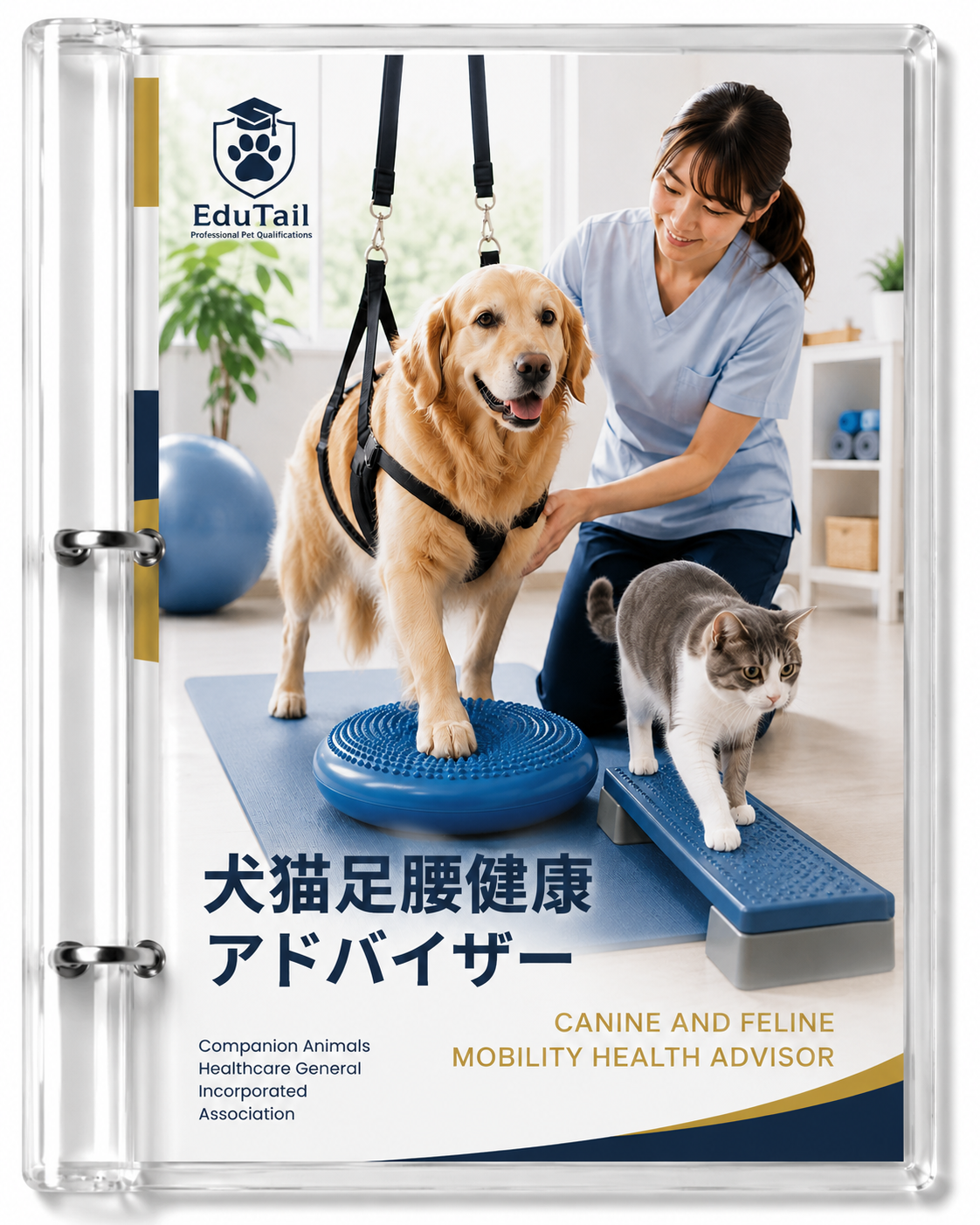 自宅で勉強する犬猫の四肢や関節の健康管理