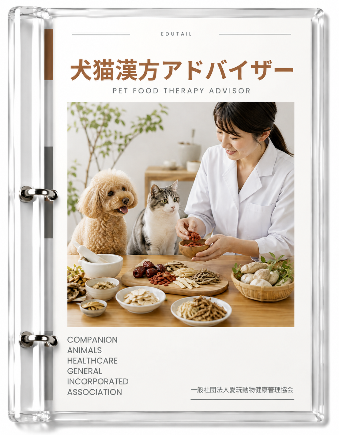 自宅で学習するペット漢方資格講座