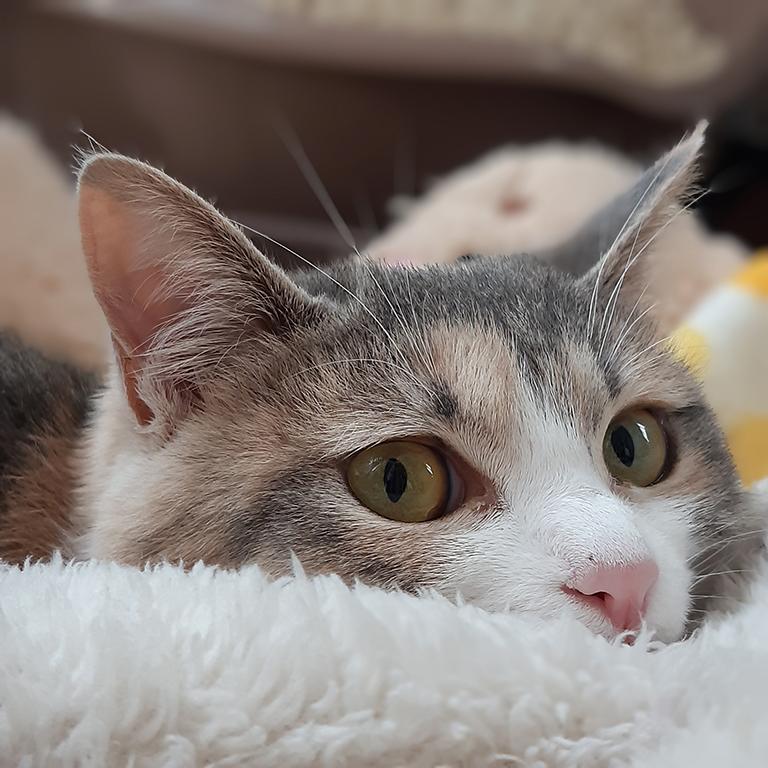 さまざまなお仕事があります！