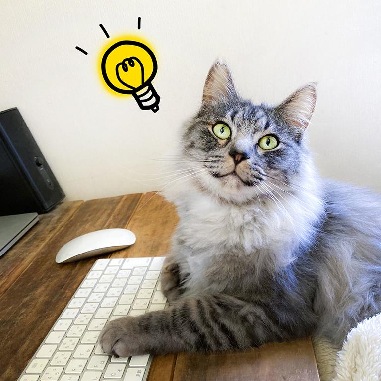 資格取得をサポート！