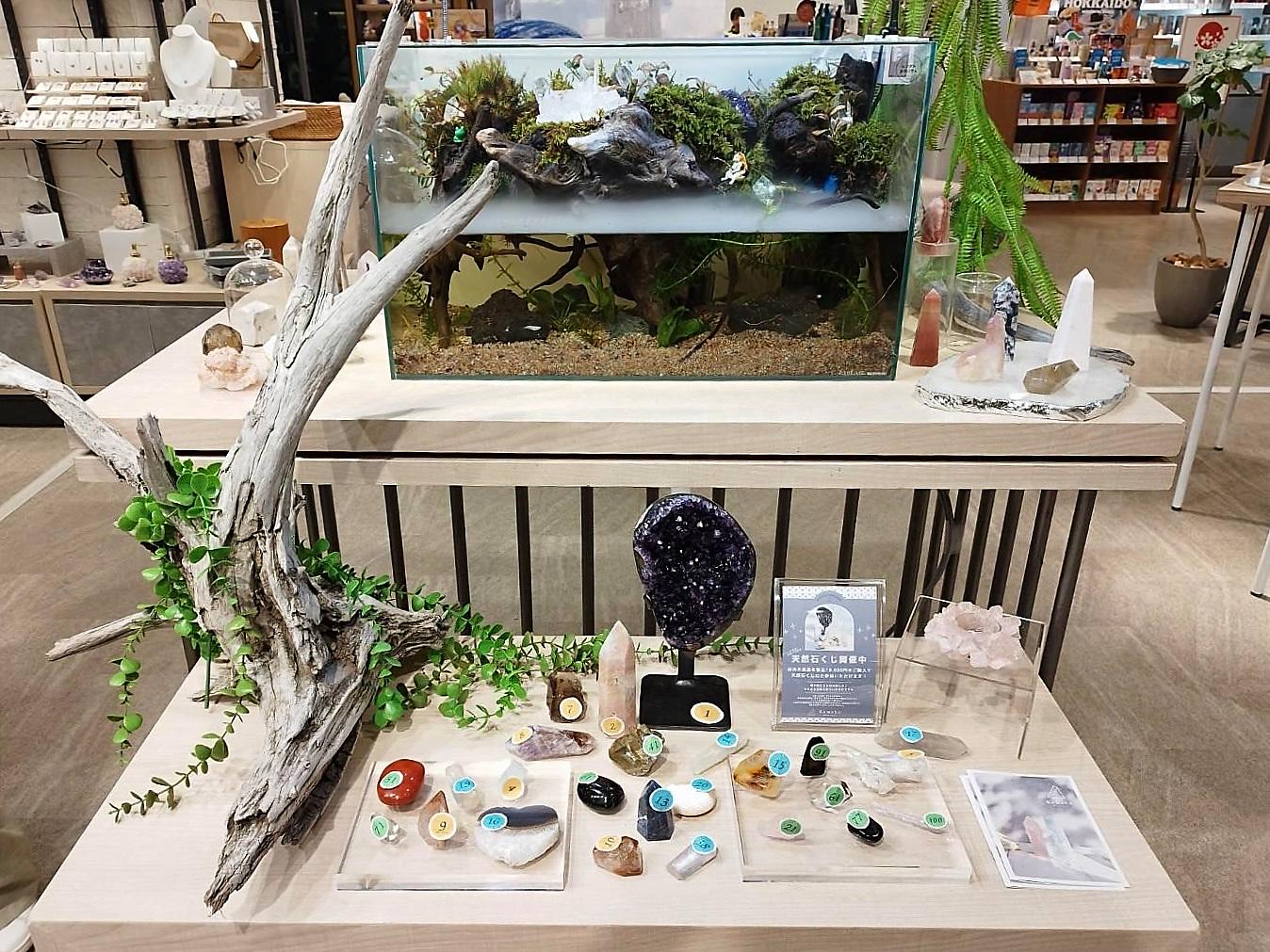 【Ryu-san様】アクアテラリウム完成品ご相談ページ 龍王石・渓流石の30cmアクアテラリウム