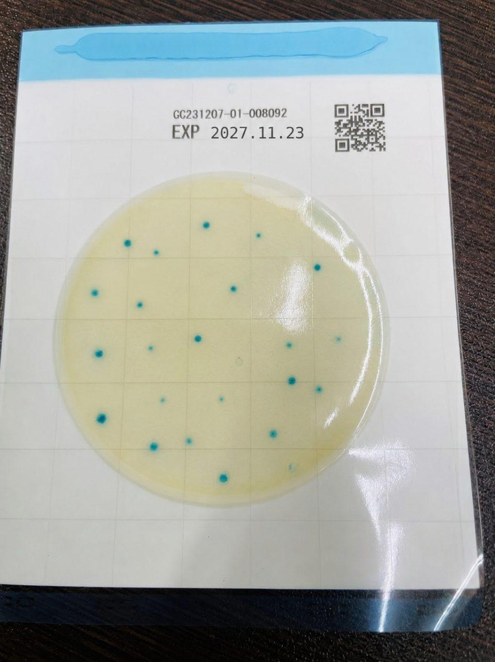 EasyPlate CC 大腸菌群 自社衛生チェック 施工前