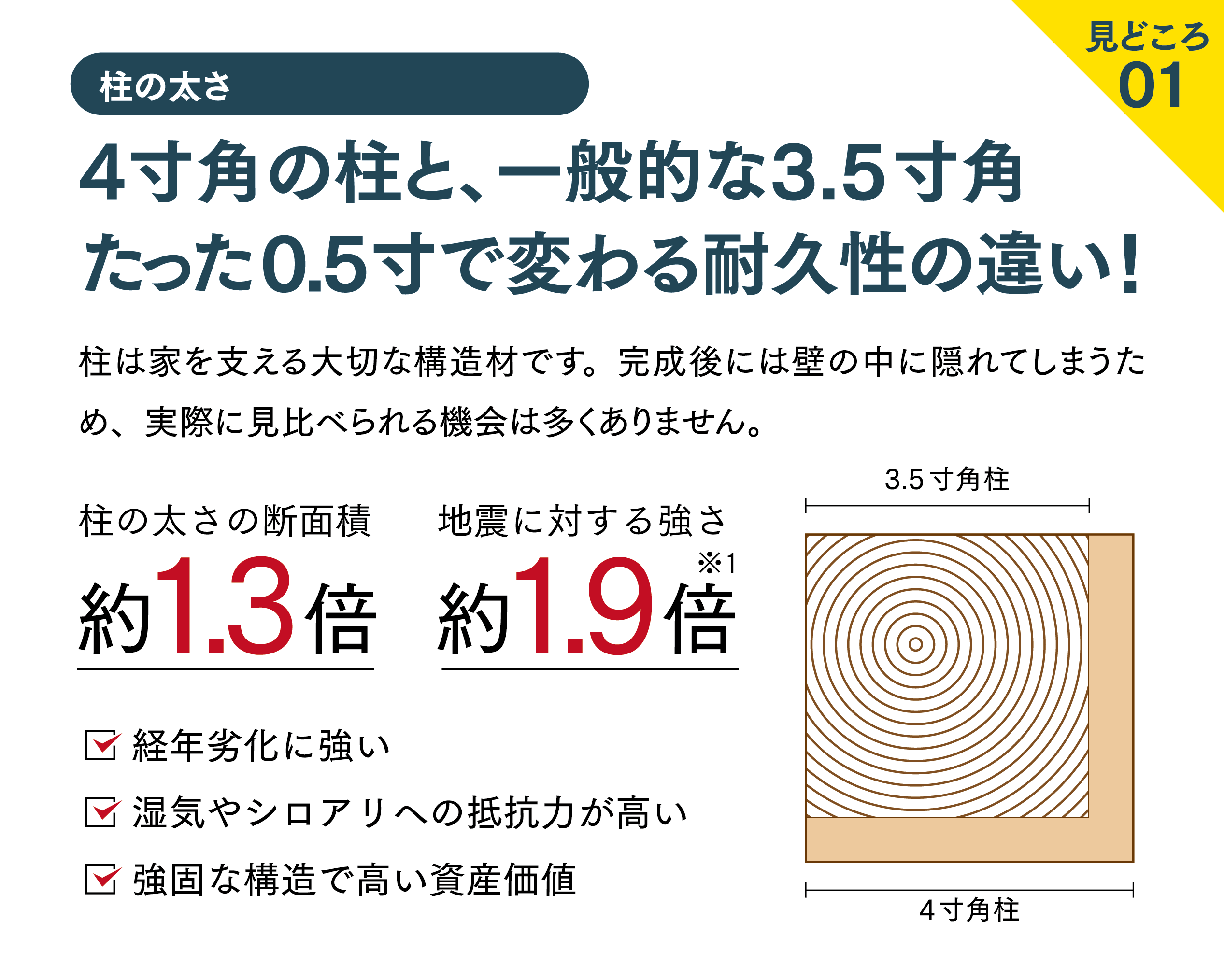 ステップ画像