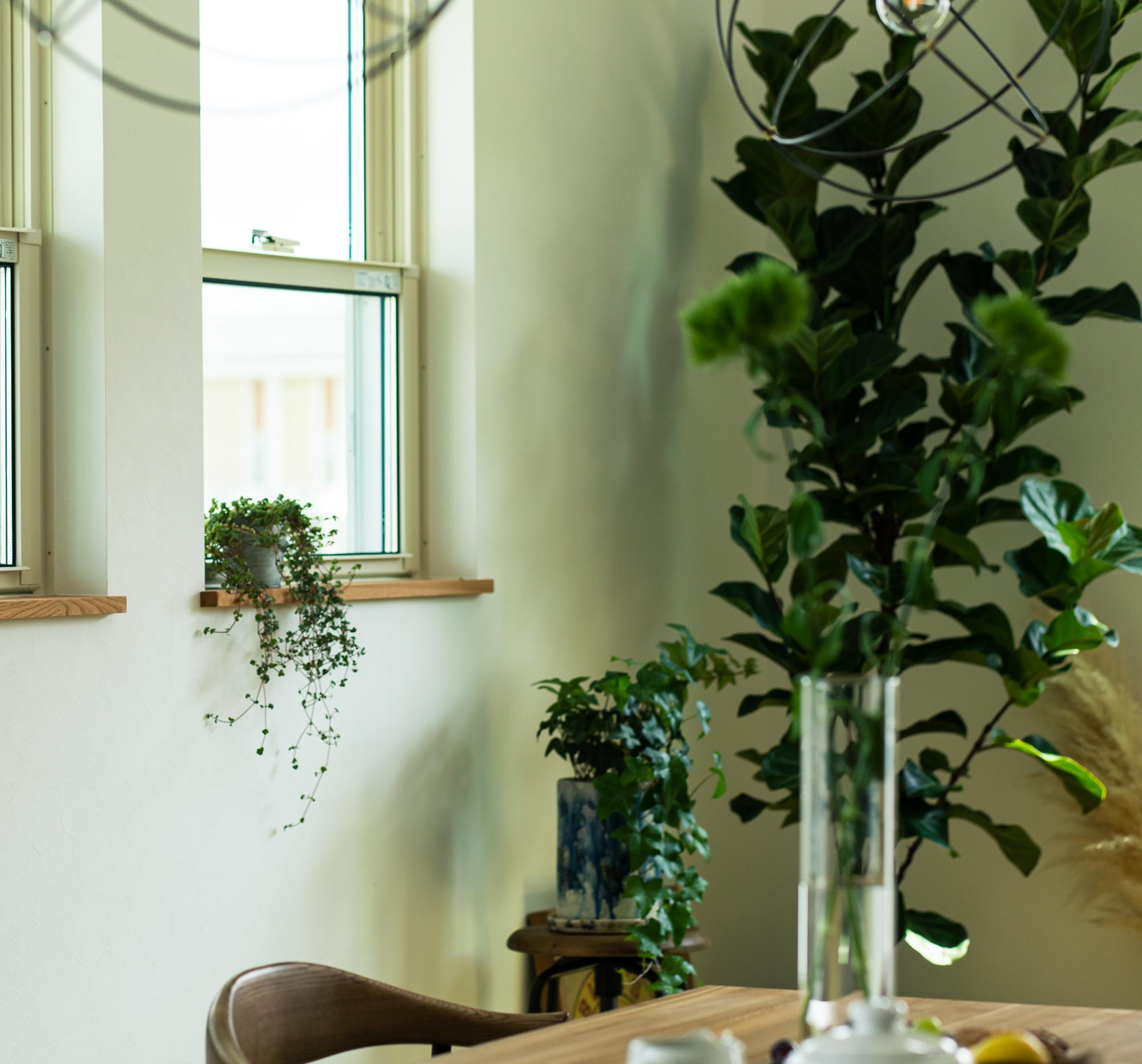 キャンペーン画像