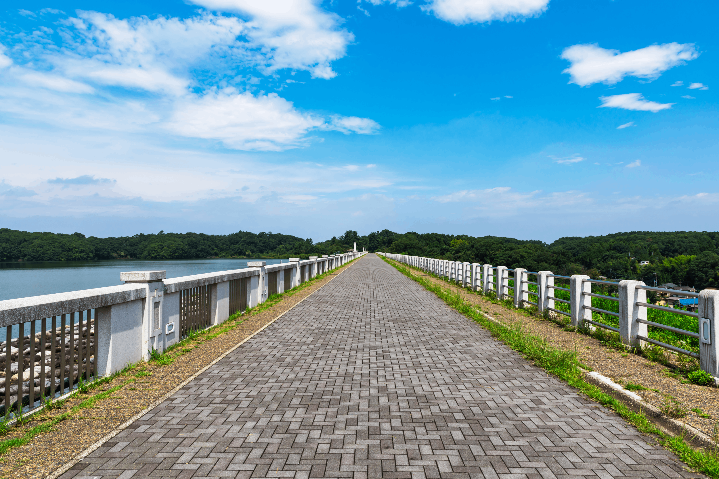マイ・チョイスと所沢の風景