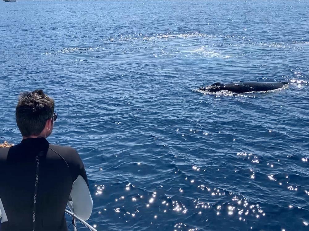 座間味ダイビングでダイビングがもっと好きになる体験ならオルターダイブ