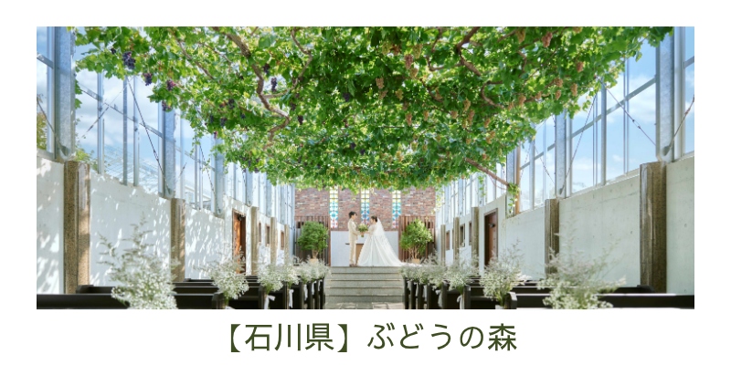 ぶどうの森