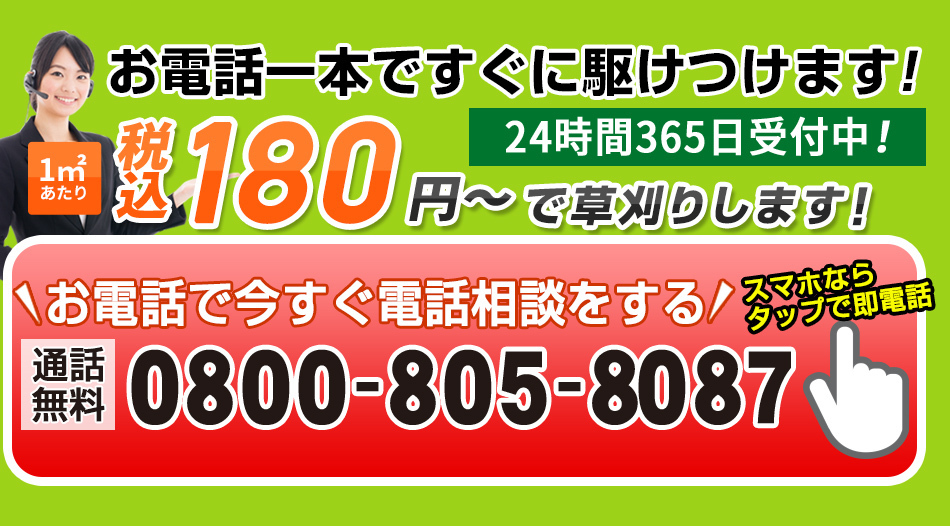 板橋区の草刈り 草むしり 芝刈りなら 価格満足度no 1 の 草刈り110番