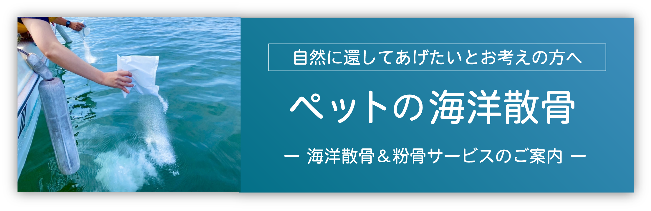 ペットの海洋散骨リンク
