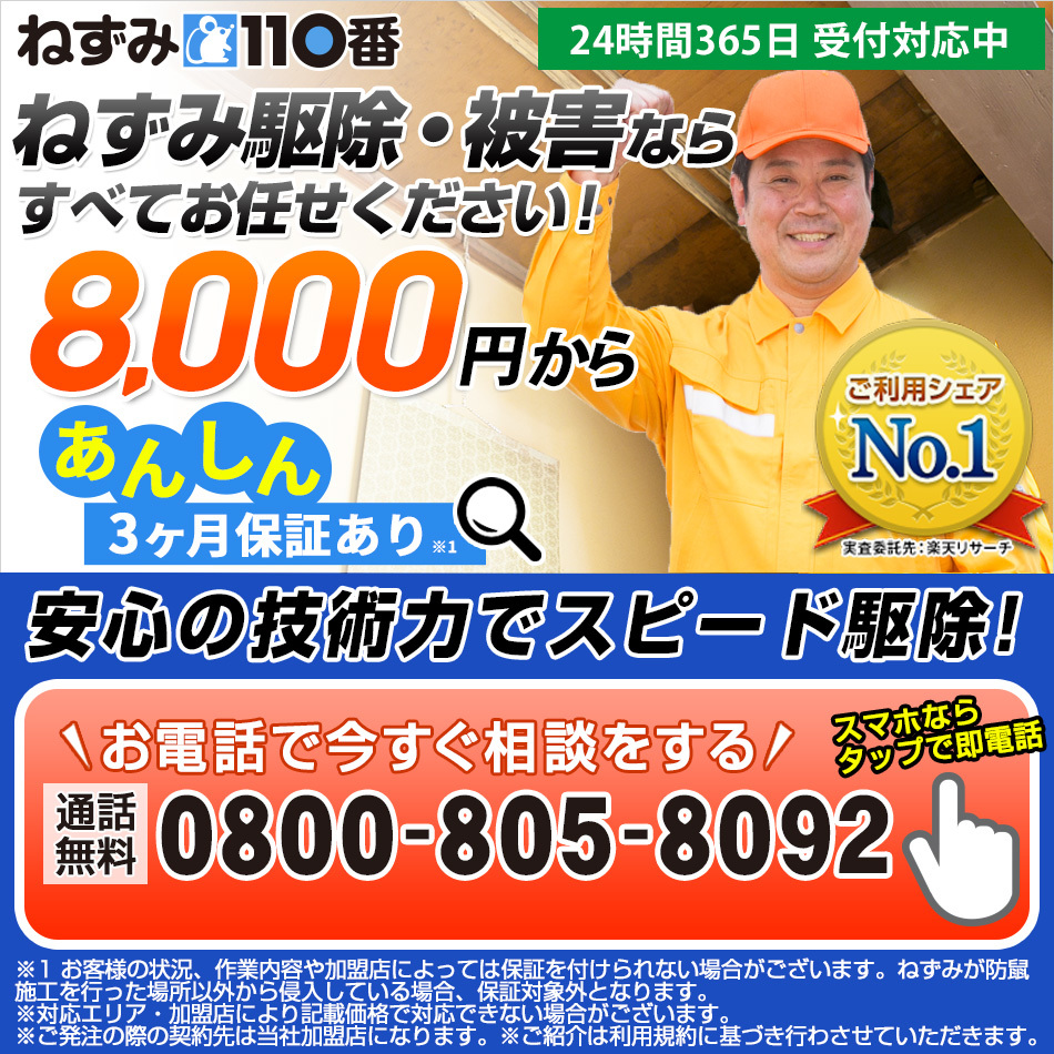 弥富市でねずみ駆除 ネズミ駆除の効果的な対策をご提案 ねずみ110番