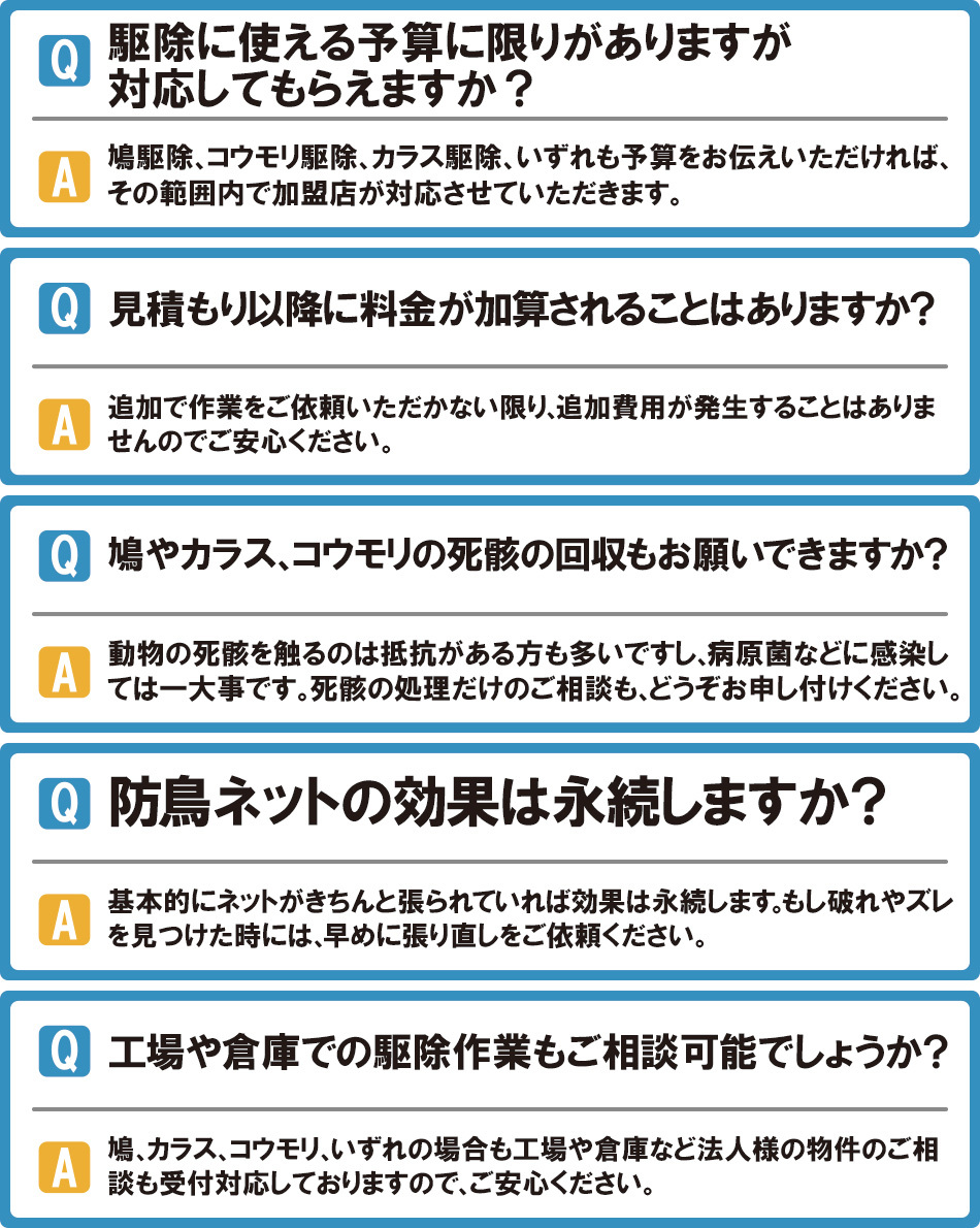 和歌山市のコウモリ駆除 鳩 ハト 駆除 対策 害鳥駆除110番