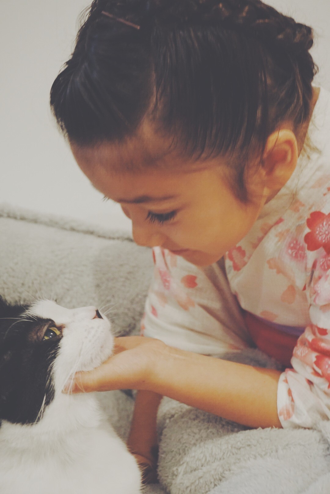 猫と一緒に自由な生活 猫と一緒に自由な生活