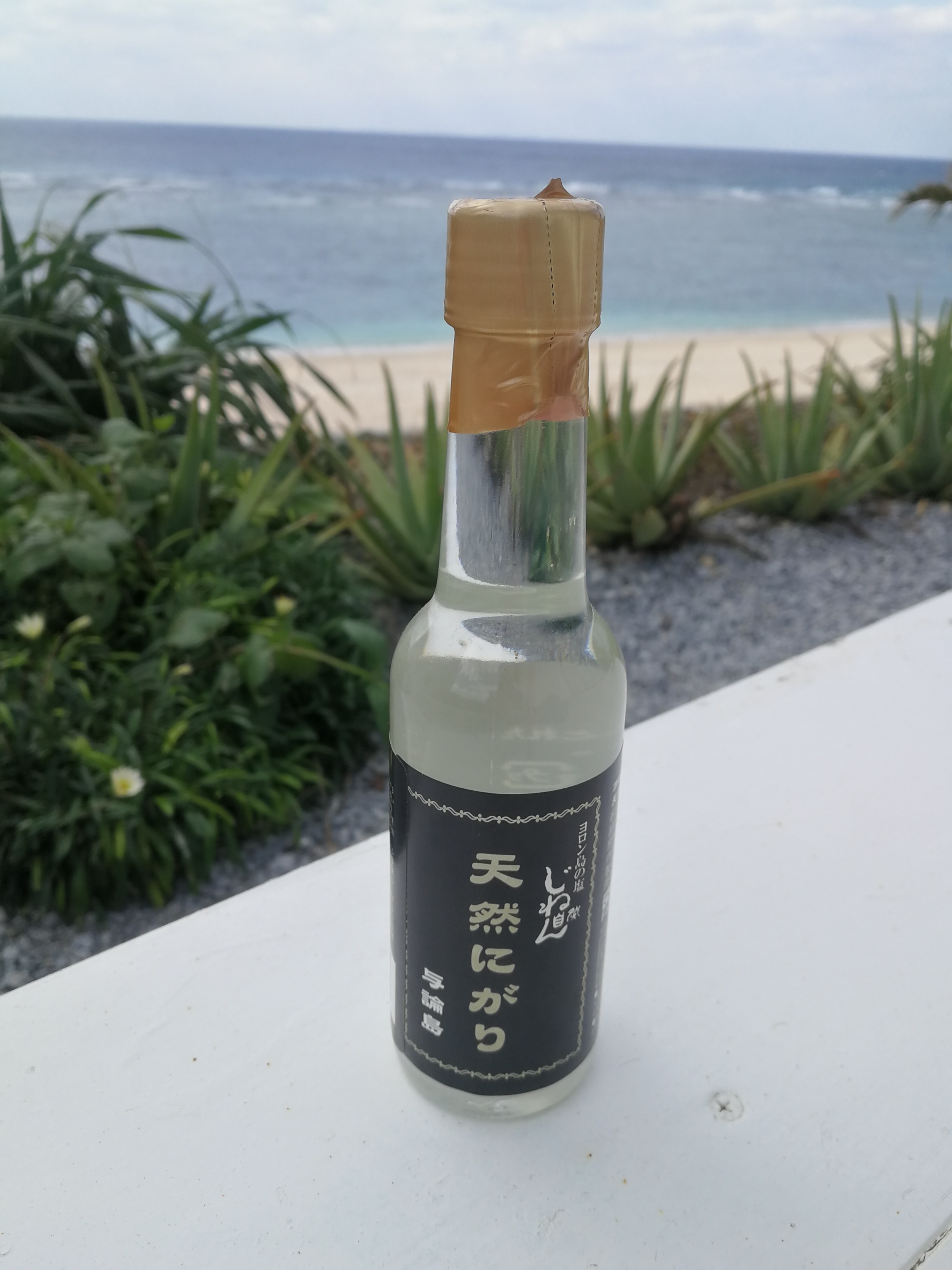 株式会社ヨロン島