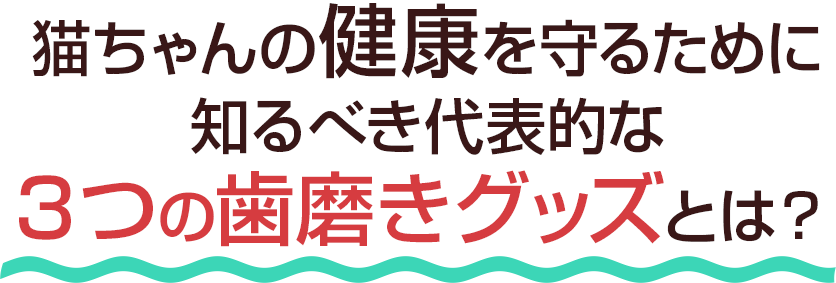 愛猫の病気予防に 特選デンタルケアセット
