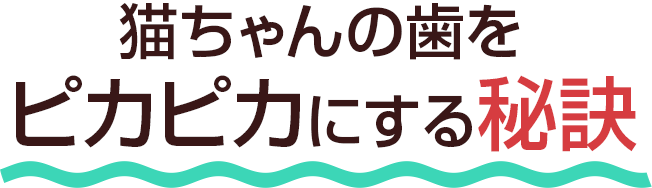 愛猫の病気予防に 特選デンタルケアセット