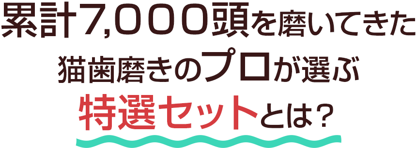 愛猫の病気予防に 特選デンタルケアセット