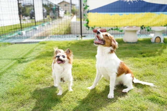 月額会員の特典③