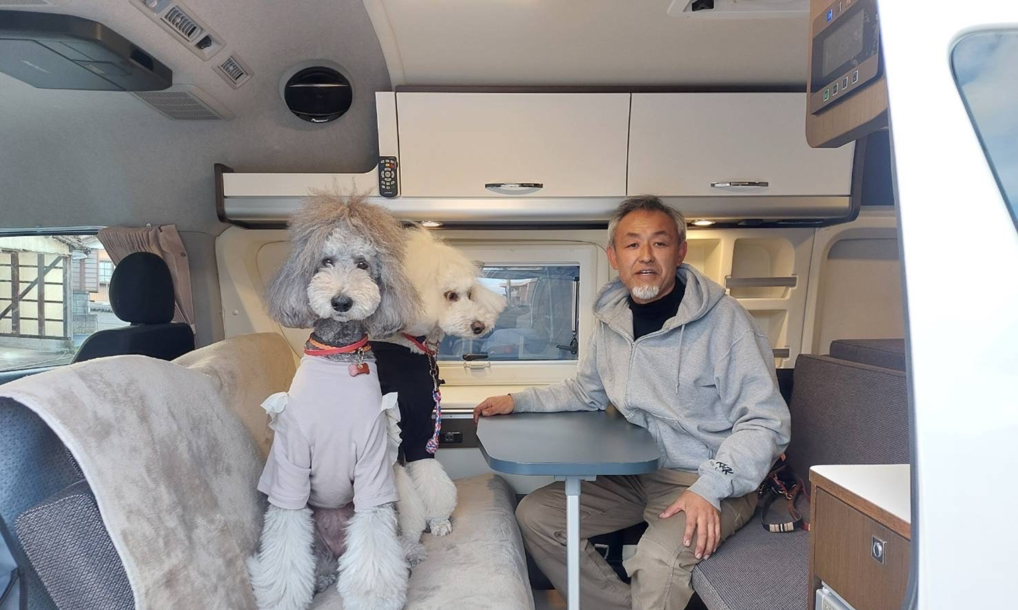 芝生の犬たち