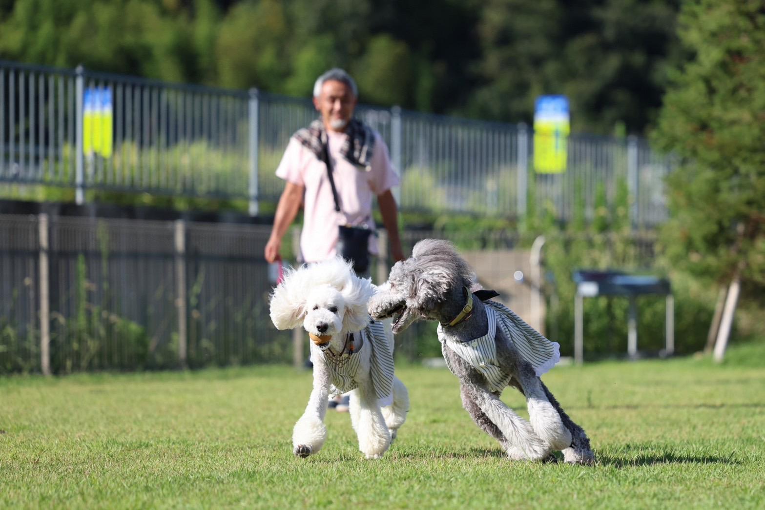 トライアルスタート