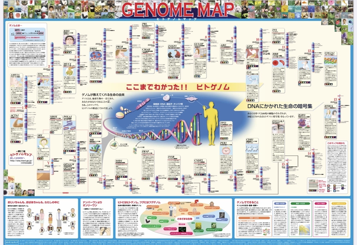 dna kaiun com