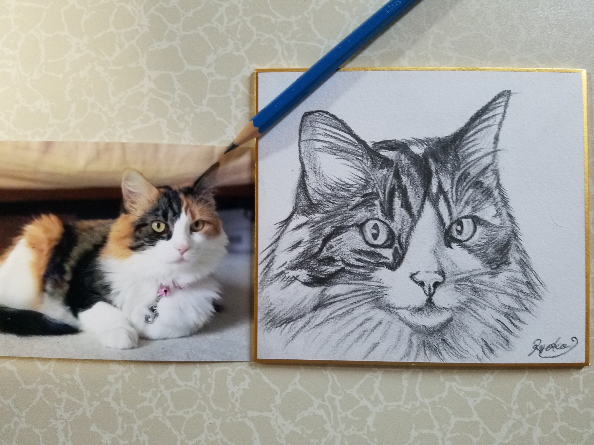 浜田涼仔のペット専門の鉛筆似顔絵デッサン画オーダー