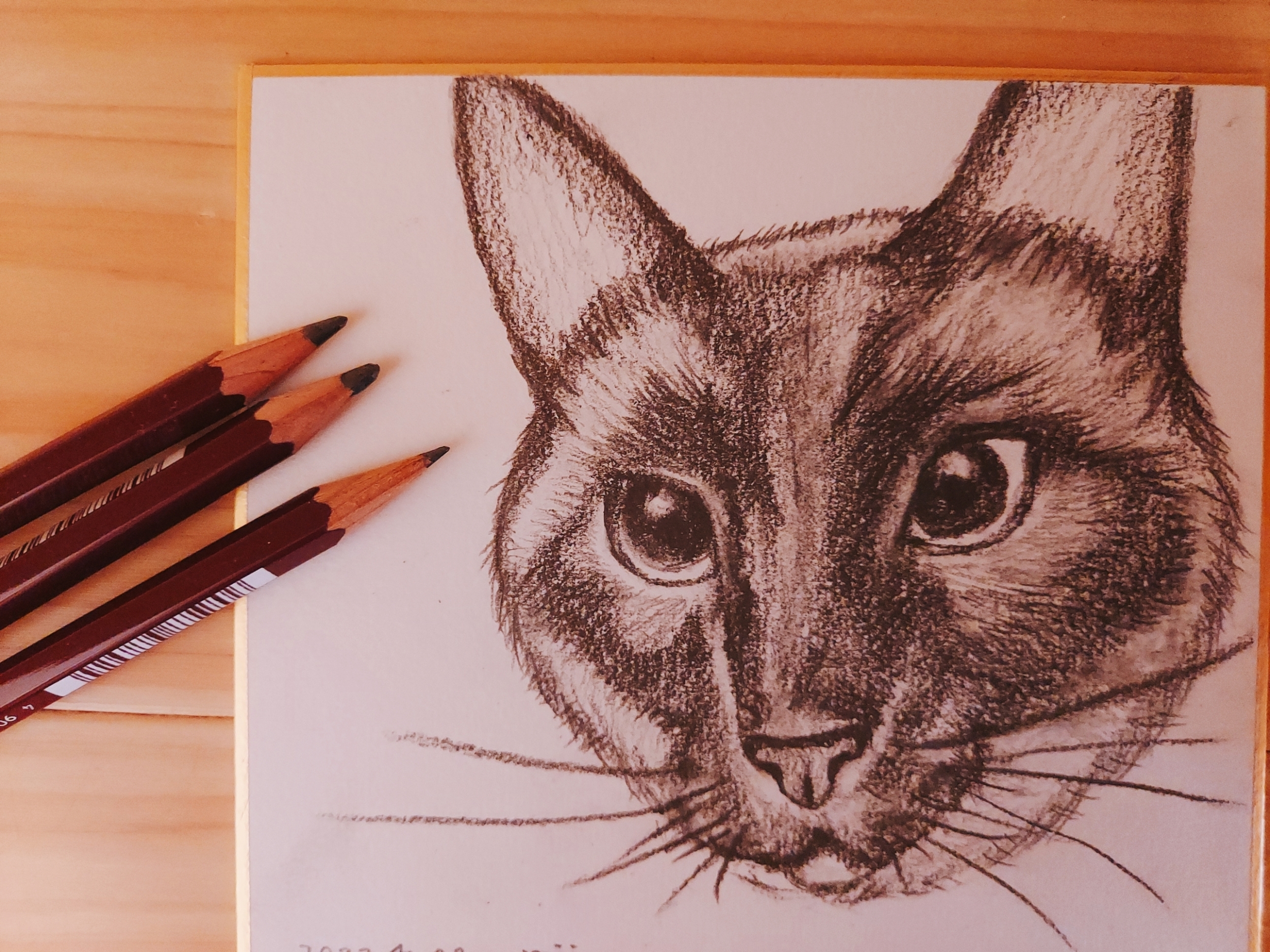 素敵でユニークな 鉛筆で描くペット似顔絵 猫用品