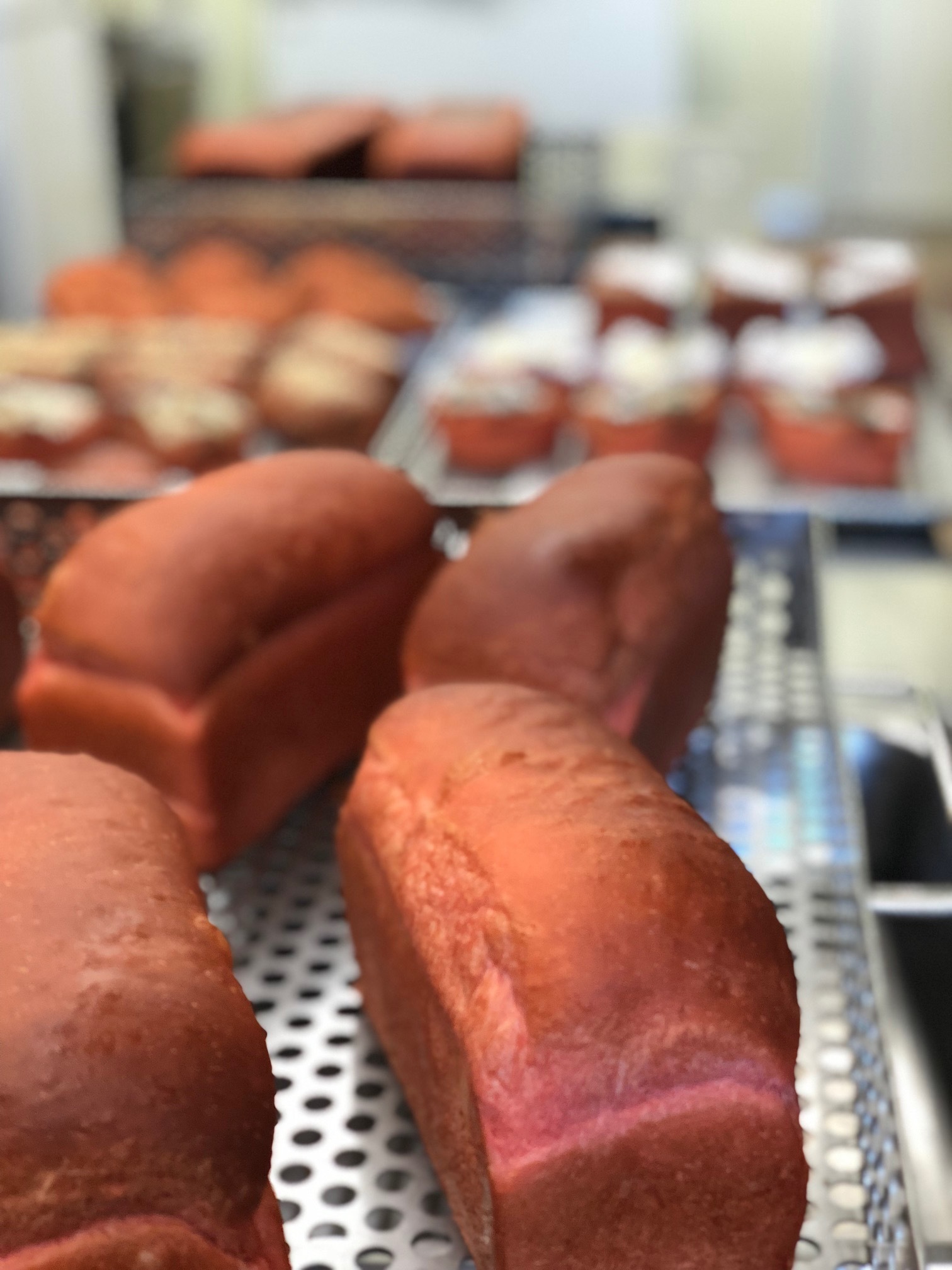 冷凍紅麹パン 定期お届け便 マキ屋フーズ