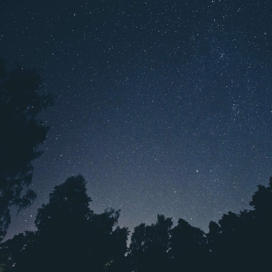 上質な眠りを リラックスのためのヨガ