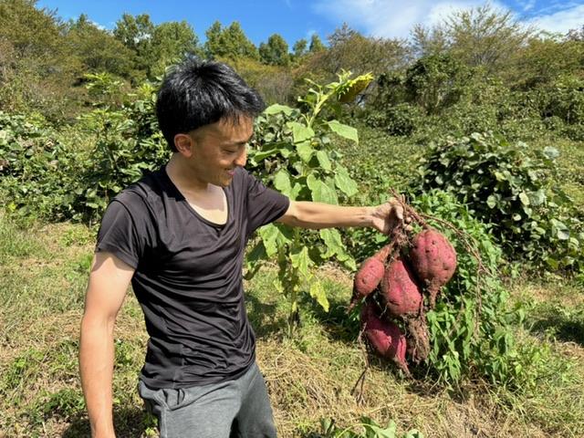 自然栽培の畑から学ぶ、整体院つぼ屋の睡眠整体の考え方