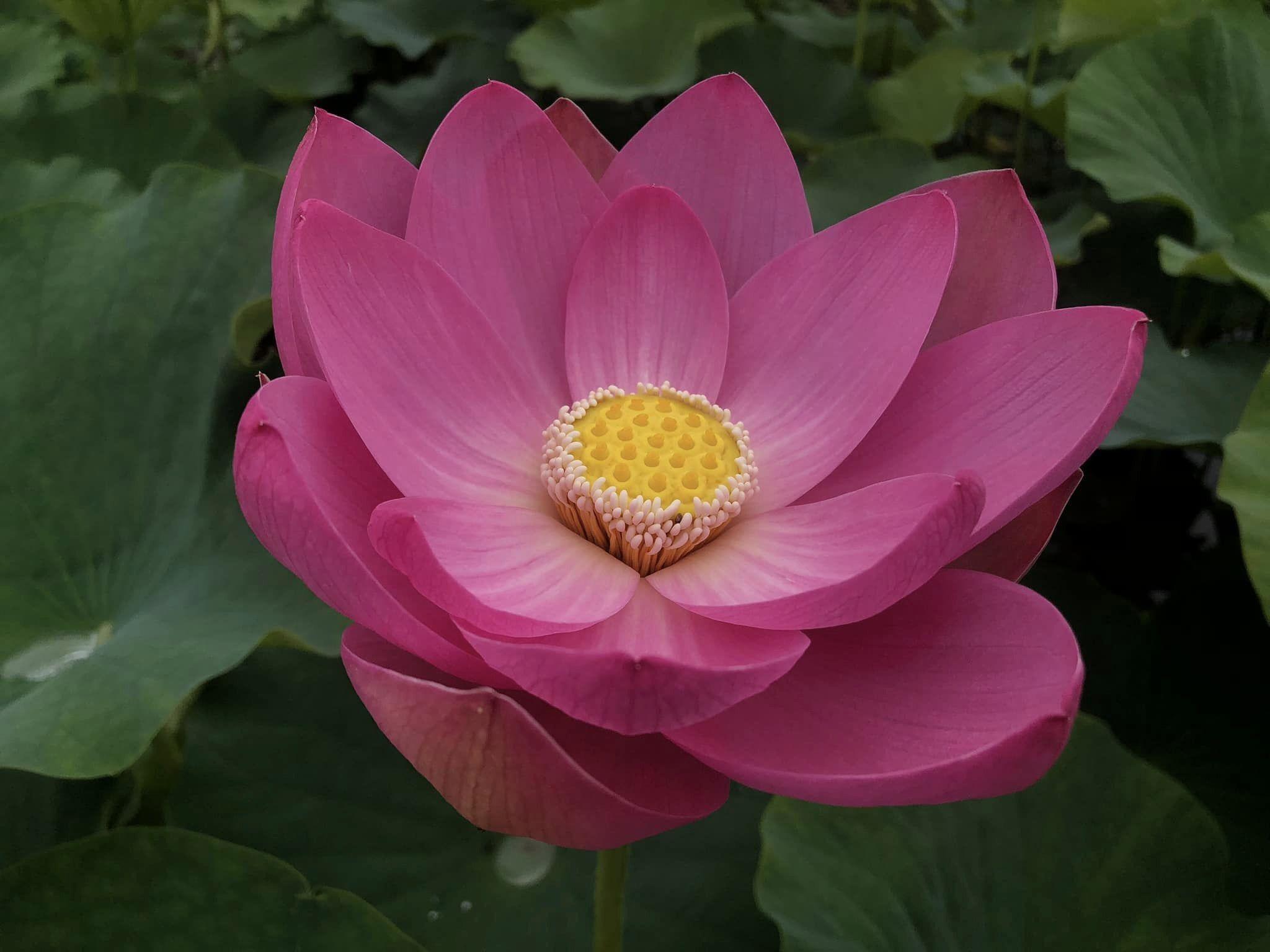 煩悩に悩む人へ