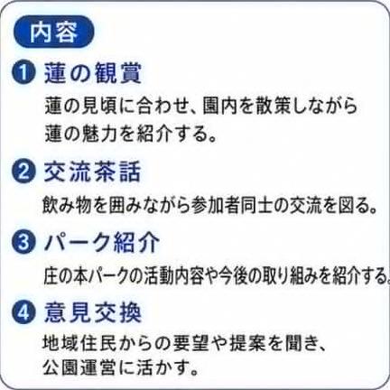 滋賀県大津市の蓮の花